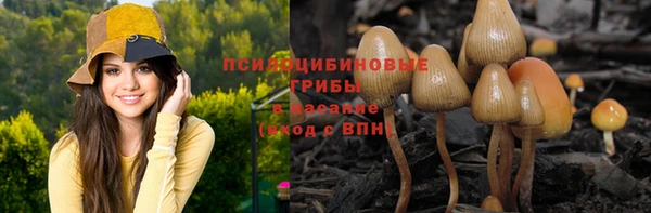 таблы Михайлов