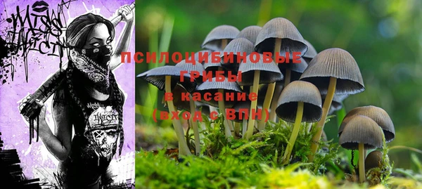 мефедрон Медногорск