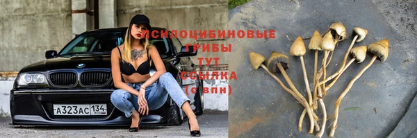 молекула духа Михайловск