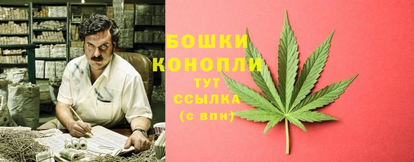 молекула духа Михайловск