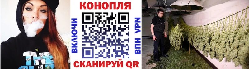Конопля конопля  Магас 